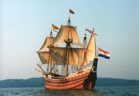 mayflower 