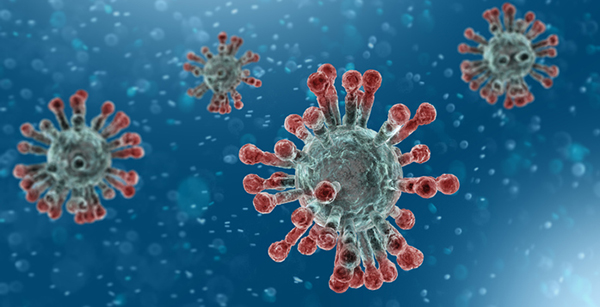 Coronavirus Coronavirus
